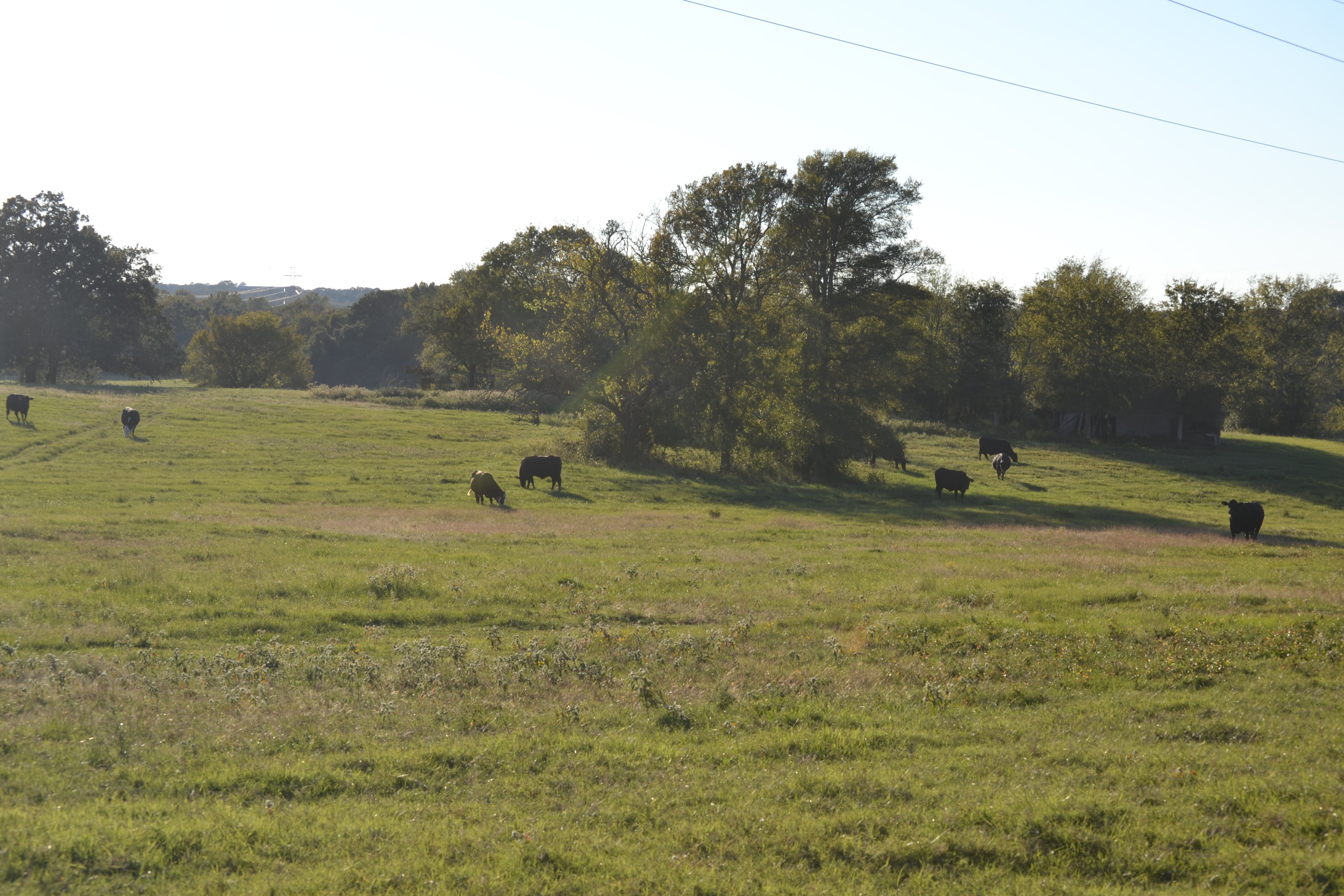 Triple R Pastures Our Property – Tres Pastos Cattle Company